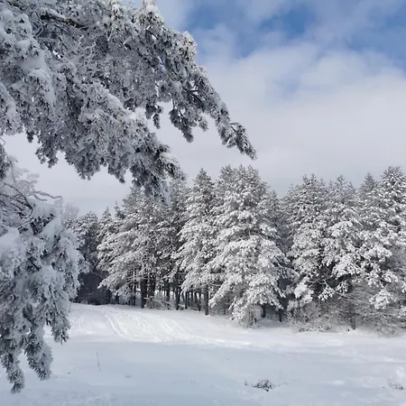 Zlatni Breg * Divčibare
