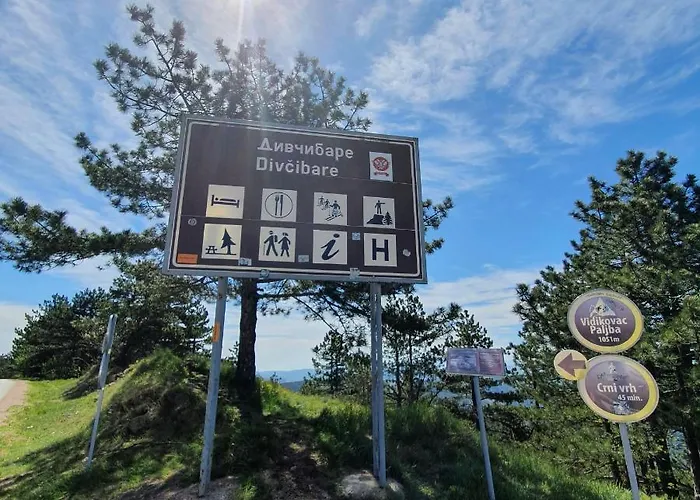 Zlatni Breg Divčibare