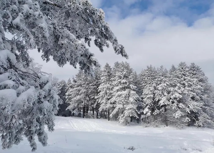 Zlatni Breg * Divčibare