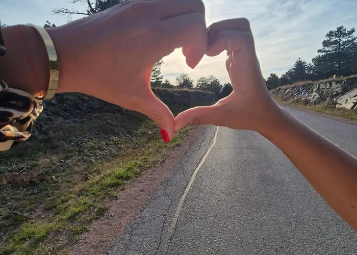 Zlatni Breg 公寓 *